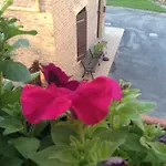 Il Conventino 44 3*