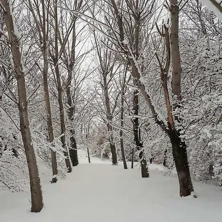 Bed & Breakfast Il Conventino 44